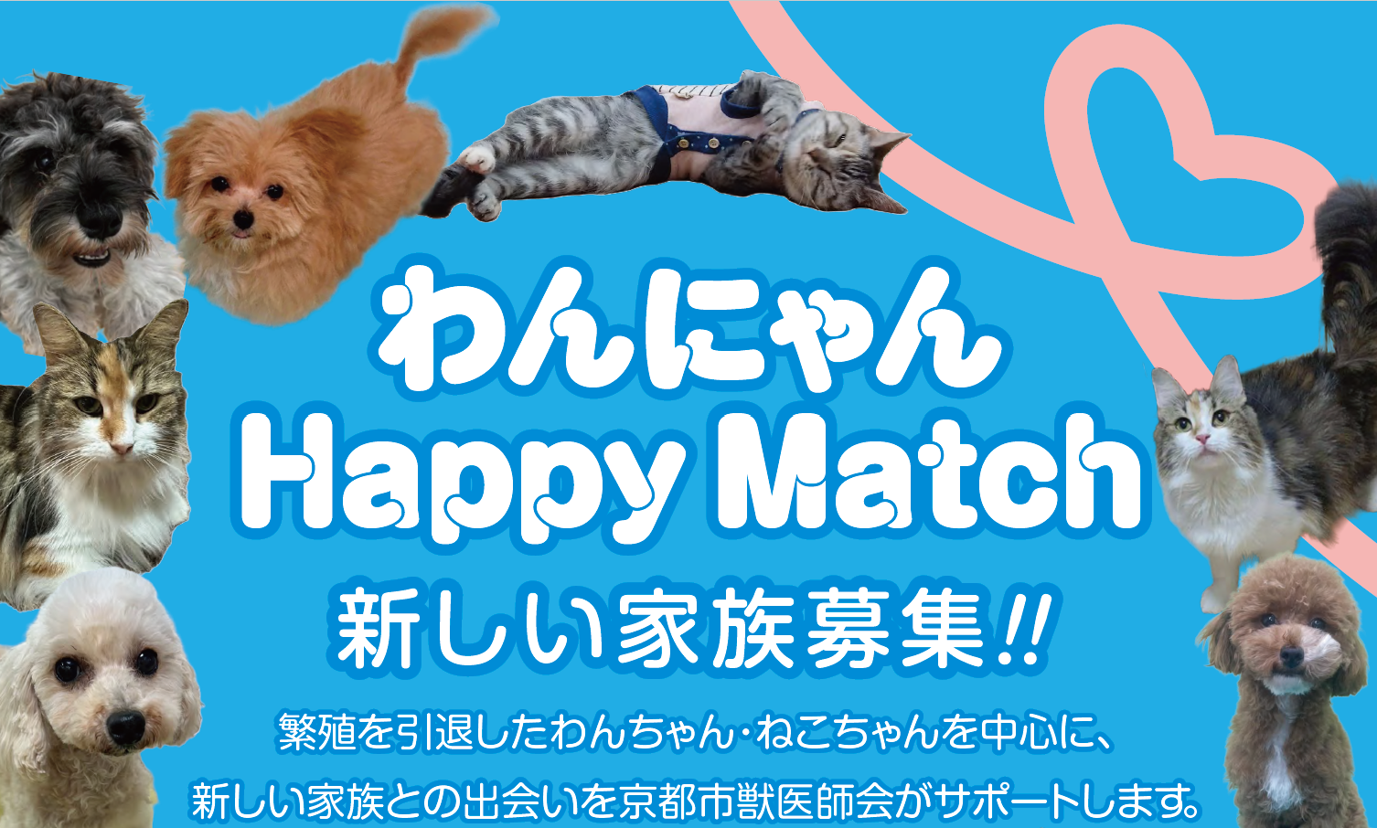 わんにゃんHappymatch