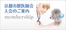 京都市獣医師会入会のご案内