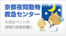 京都夜間動物救急センター